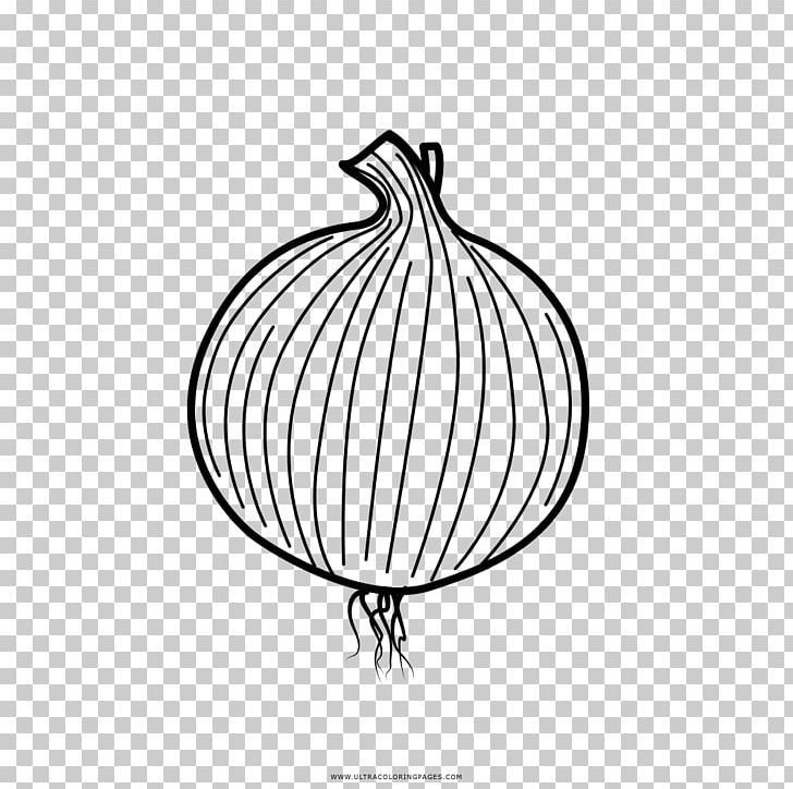 Drawing Onion Coloring Book PNG, Clipart, Artwork, Beak, Bird, Black And White, Broccoli Free PNG Download