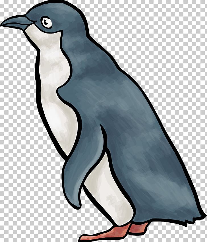 Little Penguin PNG, Clipart, Animal Figure, Animals, Artwork, Beak, Bird Free PNG Download