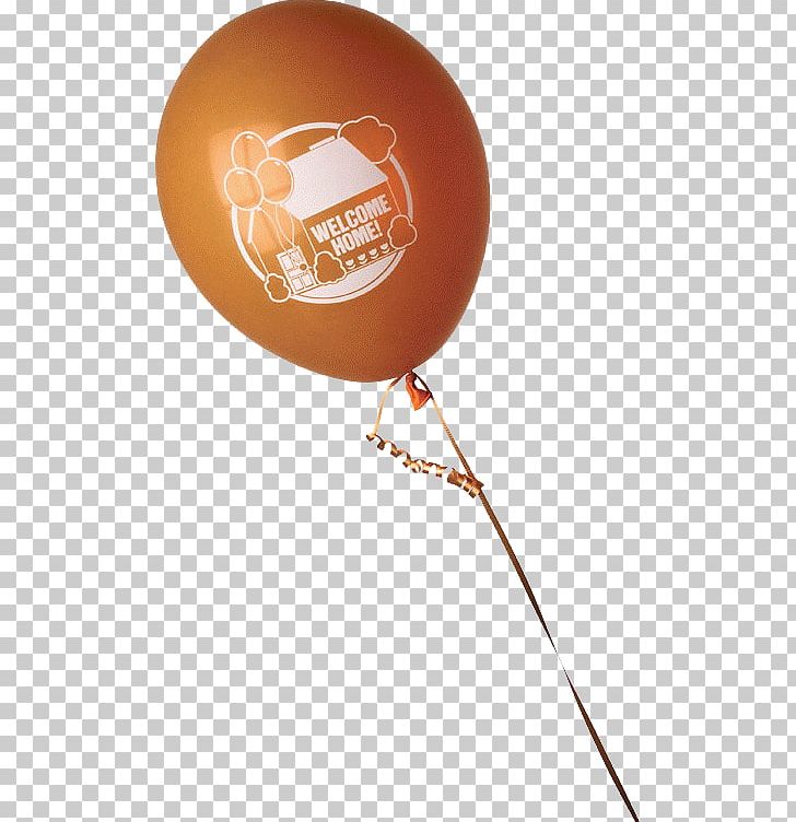Toy Balloon Hot Air Balloon PNG, Clipart, Ball, Balloon, Birthday, Digital Image, Hot Air Balloon Free PNG Download