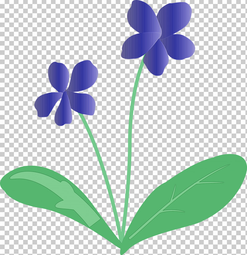 Plant Stem Flower Leaf Petal Flora PNG, Clipart, Biology, Flora, Flower, Leaf, Paint Free PNG Download