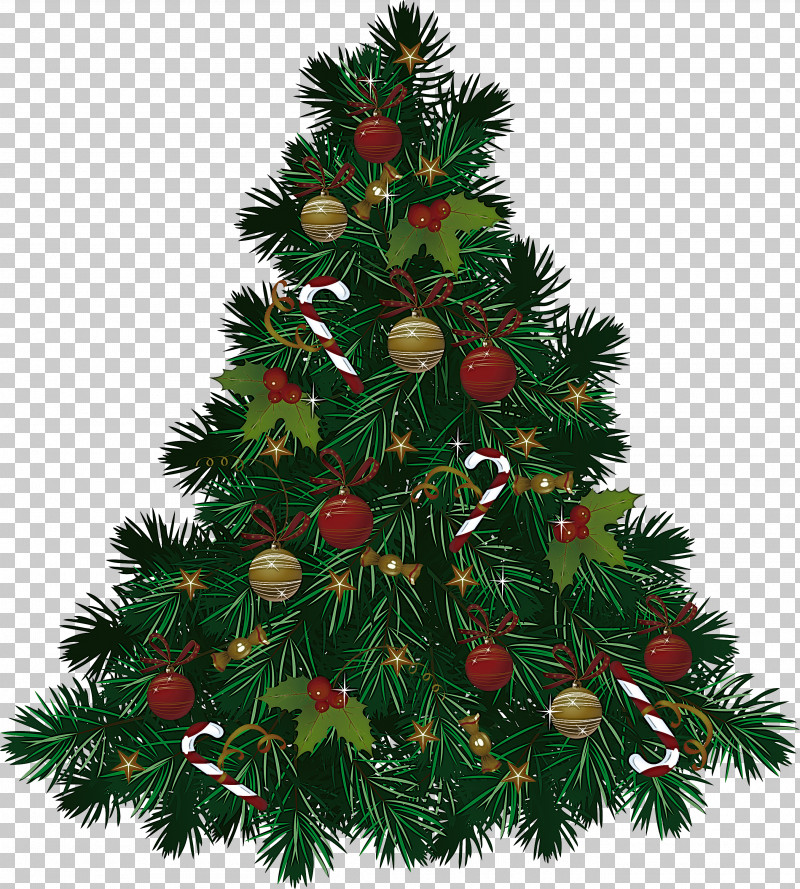 Christmas Tree PNG, Clipart, American Larch, Branch, Christmas, Christmas Decoration, Christmas Eve Free PNG Download
