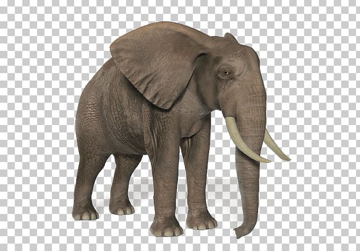 African Bush Elephant PNG, Clipart, African Elephant, Animals, Asian Elephant, Borneo Elephant, Computer Icons Free PNG Download