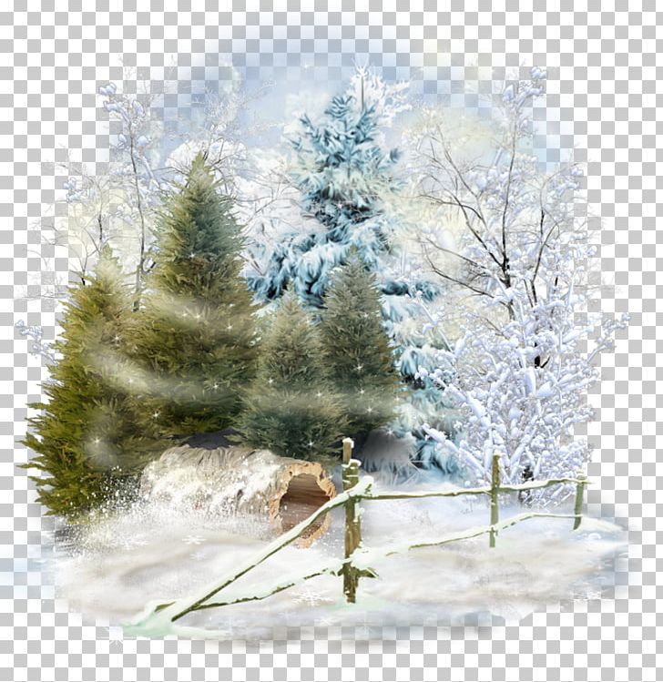 Spruce Winter Desktop Snow Landscape PNG, Clipart, Animalier, Branch, Christmas Decoration, Christmas Ornament, Christmas Tree Free PNG Download