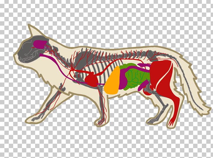 Dog Donkey Mane PNG, Clipart, Animals, Carnivoran, Dog, Dog Like Mammal, Donkey Free PNG Download