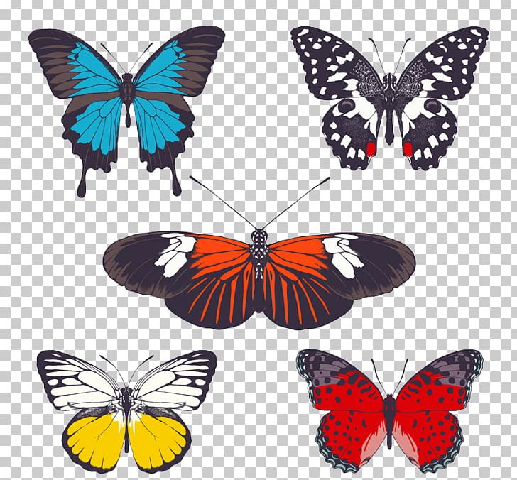 Butterfly Photography PNG, Clipart, 5 Stars, Arthropod, Brush Footed Butterfly, Butt, Butterflies Free PNG Download