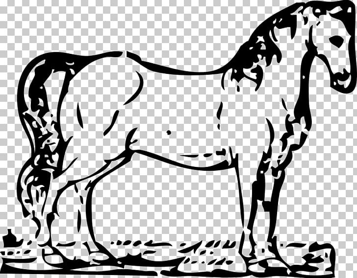 Horse Equestrian Coloring Book PNG, Clipart, Animals, Art, Black And White, Bridle, Coloring Book Free PNG Download