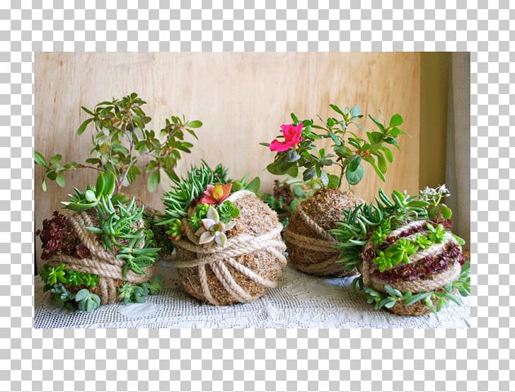 Floral Design Flowerpot Succulent Plant Garden Kokedama PNG, Clipart, Ecology, Floral Design, Floristry, Flower, Flowerpot Free PNG Download