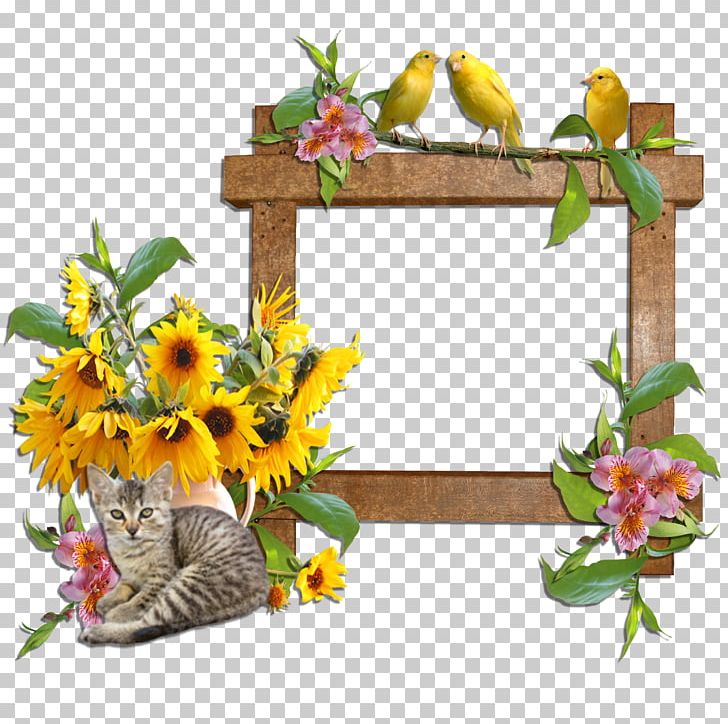 Frames Cat Domestic Animal Flower PNG, Clipart, Animal, Animals, Border Frames, Cat, Clip Art Free PNG Download