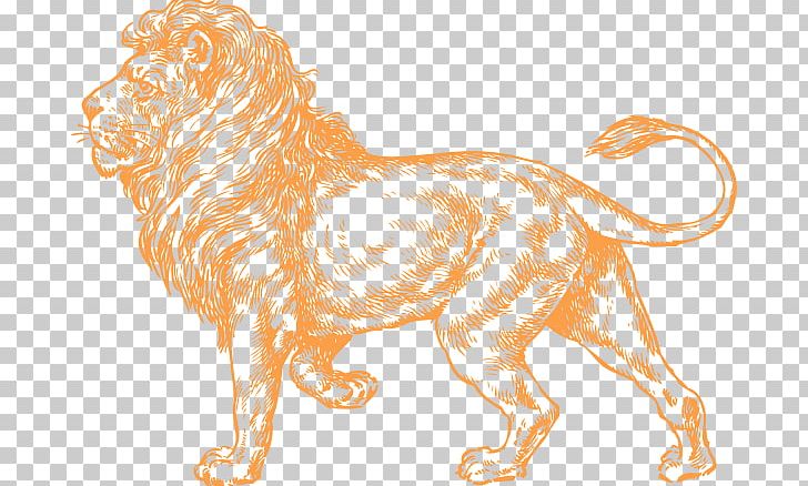Lionhead Rabbit Black And White White Lion PNG, Clipart, Animal Figure, Big Cat, Big Cats, Black And White, Carnivoran Free PNG Download