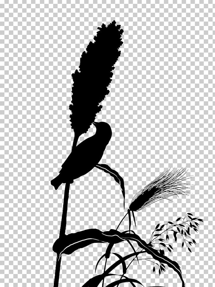 Watercolor Painting Ink Effect PNG, Clipart, Beak, Bird, Black And White, Broomcorn, Computer Free PNG Download