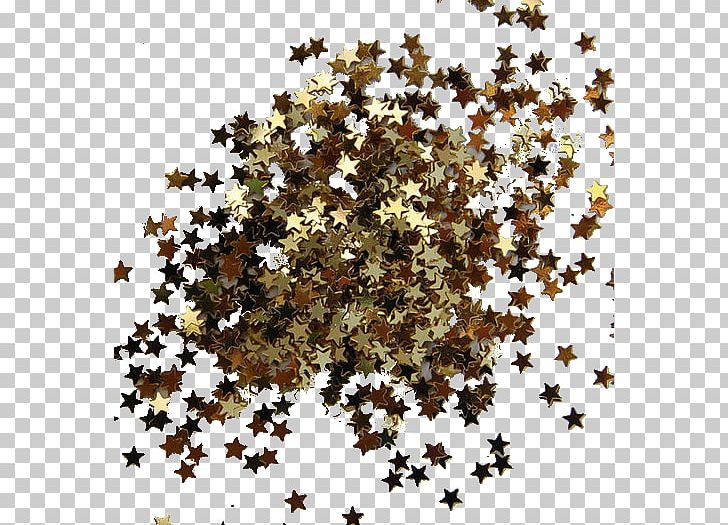 Star Gold Confetti Glitter Metallic Color PNG, Clipart, Branch, Bride, Confetti, Flora, Flower Free PNG Download