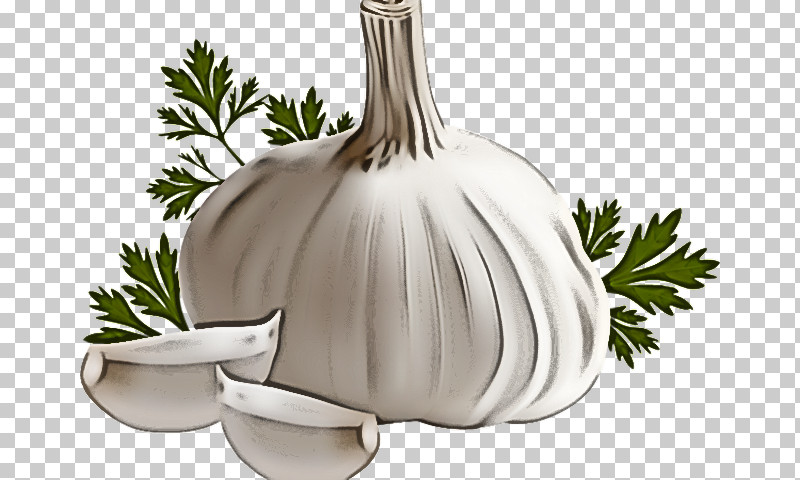 Garlic Mexican Cuisine Plant Tableware Sign PNG, Clipart, Biology, Garlic, Mexican Cuisine, Mexicans, Mexico Free PNG Download