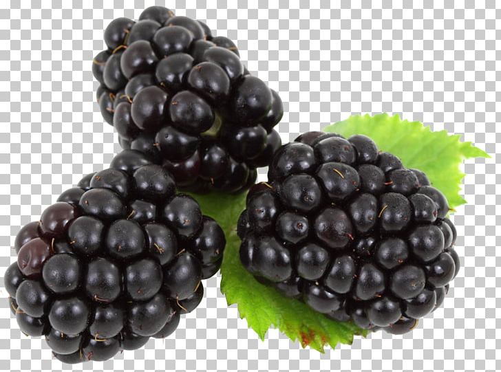 Blackberry PNG, Clipart, Blackberry Free PNG Download