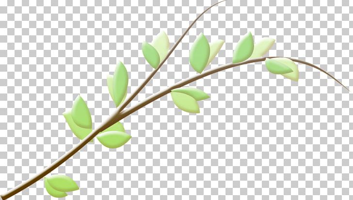 Branch Leaf Twig PNG, Clipart, Branch, Bud, Email, Flower, Leaf Free PNG Download