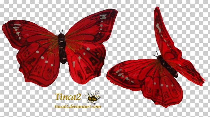 Butterfly Red Greta Oto PNG, Clipart, Arthropod, Butterflies And Moths, Butterfly, Clip Art, Color Free PNG Download