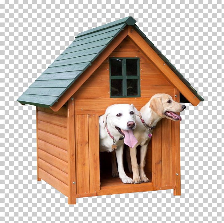 Doghouse Kennel Cat PNG, Clipart, Animal, Animals, Cage, Cat, Cat Dog Free PNG Download