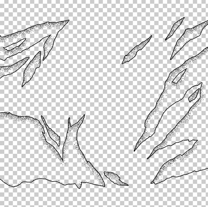 Drawing Line Art Feather Sketch PNG, Clipart, Angle, Arm, Artwork, Beak, Black And White Free PNG Download