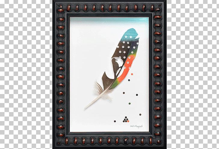 Frames Feather PNG, Clipart, Animals, Feather, Mary Higby Schweitzer, Picture Frame, Picture Frames Free PNG Download