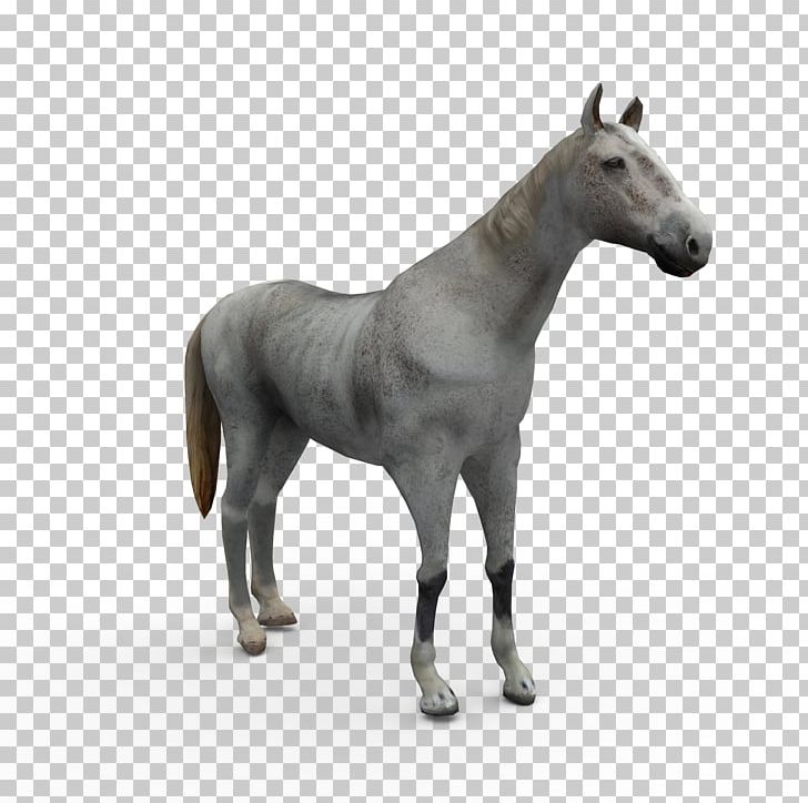 Mule Horse Stallion Pony Mare PNG, Clipart, 3d Computer Graphics, 3d Modeling, Animal Figure, Animals, Autodesk 3ds Max Free PNG Download