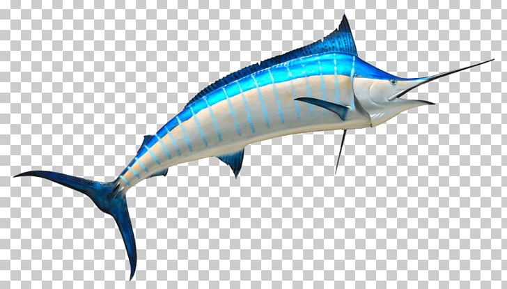 Swordfish Marlin PNG, Clipart, Actinopterygii, Animal, Animals, Aquatic, Aquatic Animal Free PNG Download