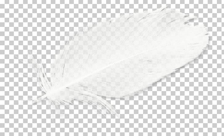 White Feather Black PNG, Clipart, Animals, Background White, Black, Black And White, Black White Free PNG Download