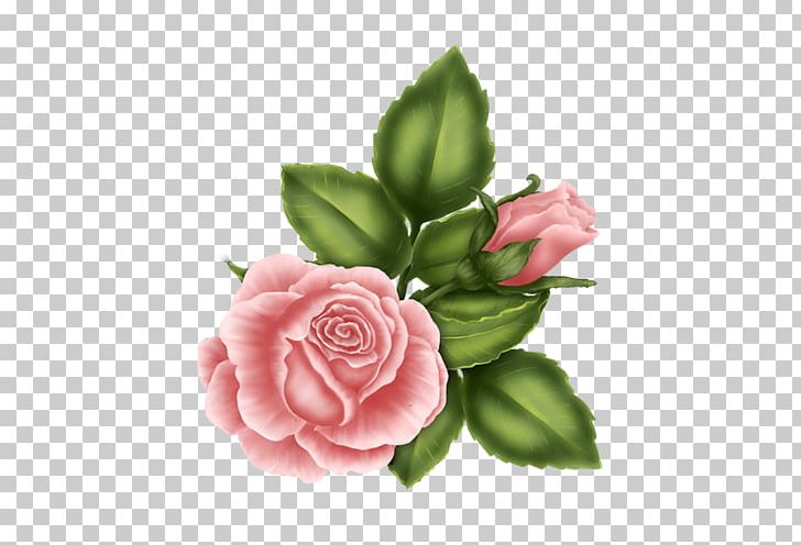 Blog Female Friendship Person PNG, Clipart, Alicia Machado, Blog, Cut Flowers, Female, Floral Design Free PNG Download