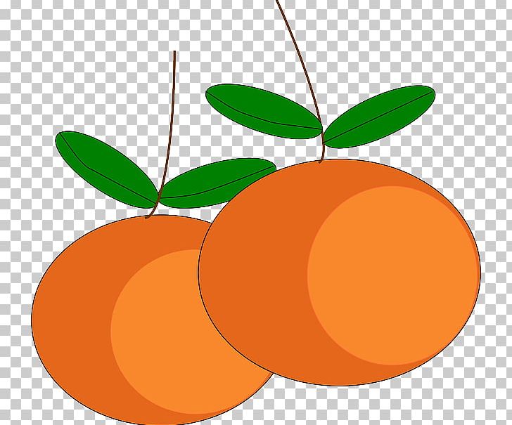 Mandarin Orange Tangerine Orange Juice PNG, Clipart, Apple, Chinese New Year, Circle, Citrus, Clementine Free PNG Download