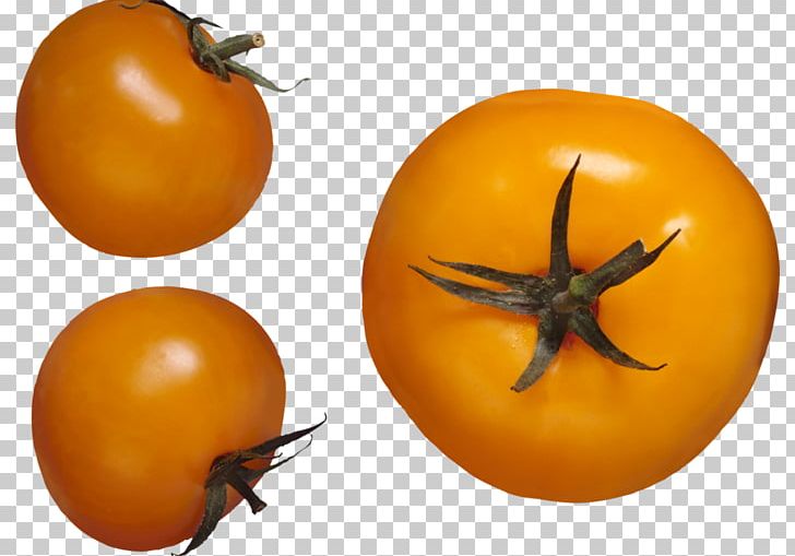 Pear Tomato File Formats PNG, Clipart, Bush Tomato, Encapsulated Postscript, Food, Fruit, Image File Formats Free PNG Download