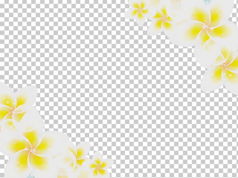 Moth Orchids Yellow Orchids PNG, Clipart, Moth Orchids, Orchids, Paint, Watercolor, Wet Ink Free PNG Download