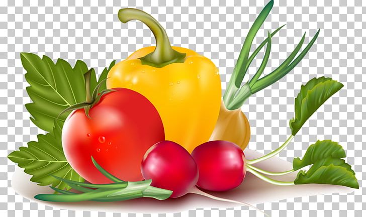 Chili Pepper Bell Pepper Vegetable PNG, Clipart, Bell Peppers And Chili Peppers, Capsicum Annuum, Diet Food, Food, Fruit Free PNG Download