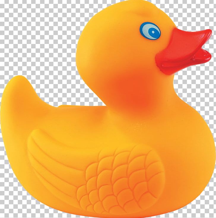 Rubber Duck PNG, Clipart, Rubber Duck Free PNG Download