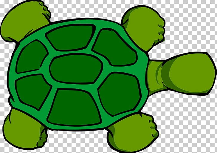 Sea Turtle Reptile PNG, Clipart, Animal, Animals, Artwork, Berd, Cartoon Free PNG Download