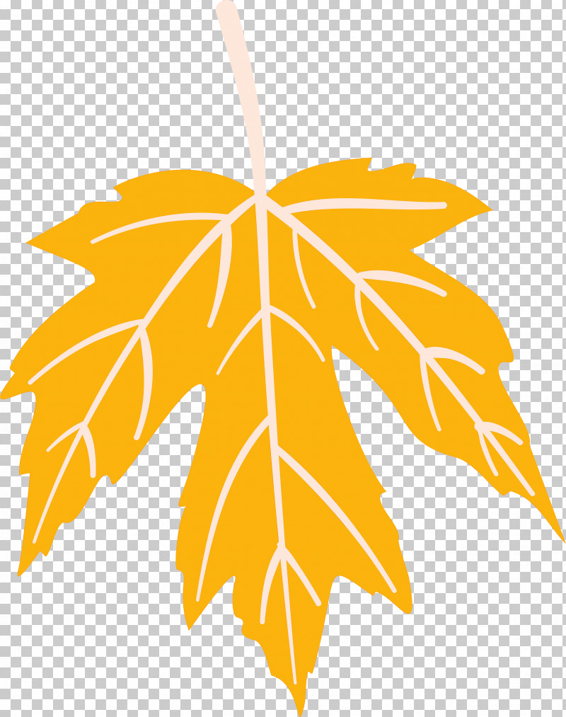 Autumn Leaf Colourful Foliage Colorful Leaves PNG, Clipart, Autumn Leaf, Autumn Leaf Color, Branch, Colorful Leaf, Colorful Leaves Free PNG Download