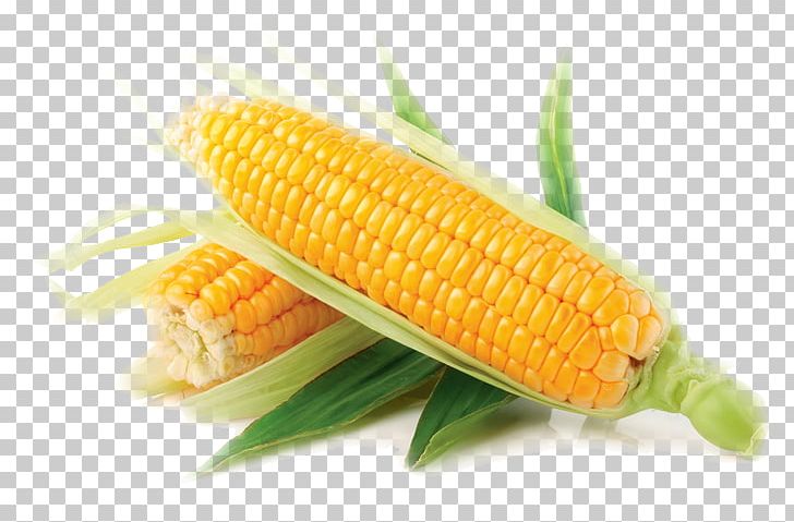 Corn On The Cob Sweet Corn Maize Vegetable Corn Kernel PNG, Clipart, Candy Corn, Cereal, Commodity, Corn, Corn Kernel Free PNG Download