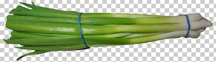 Scallion Onion Vegetable PNG, Clipart, Allium, Allium Fistulosum, Commodity, Food, Grass Free PNG Download
