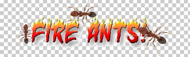 Red Imported Fire Ant Insect Pest Control PNG, Clipart, Animals, Ant, Computer Wallpaper, Entomology, Fact Free PNG Download