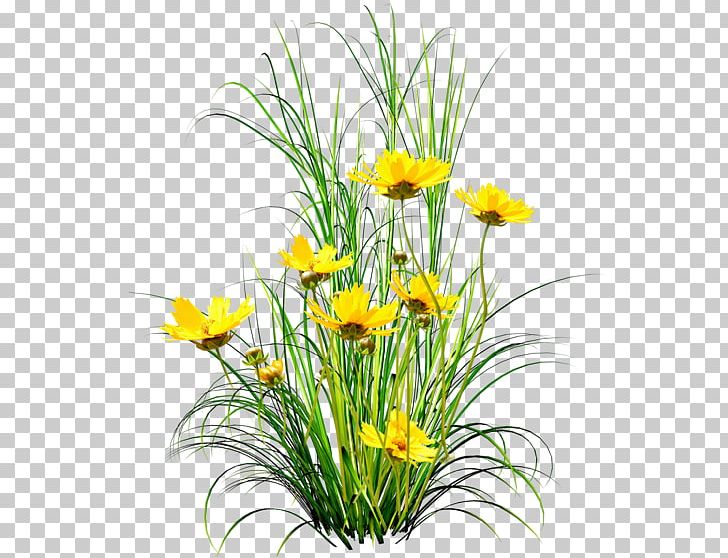 Floral Design Cut Flowers PNG, Clipart, Annual Plant, Bird, Dandelion, Desktop Wallpaper, Flora Free PNG Download