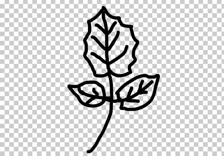 Line Art Plant Stem Leaf Flower PNG, Clipart, Artwork, Black And White, Branch, Branching, Draw Free PNG Download