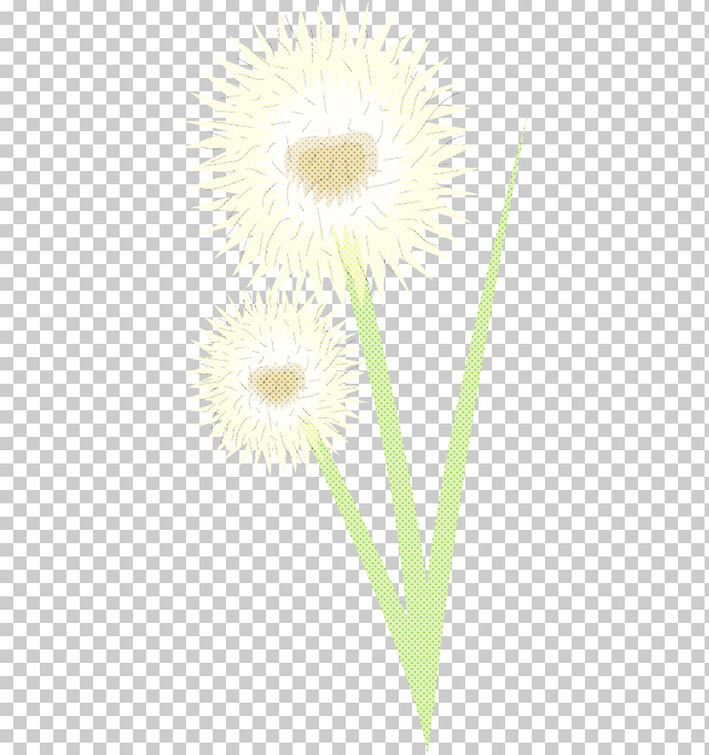 Yellow Flower Plant Dandelion Dandelion PNG, Clipart, Camomile, Daisy Family, Dandelion, Flower, Gerbera Free PNG Download