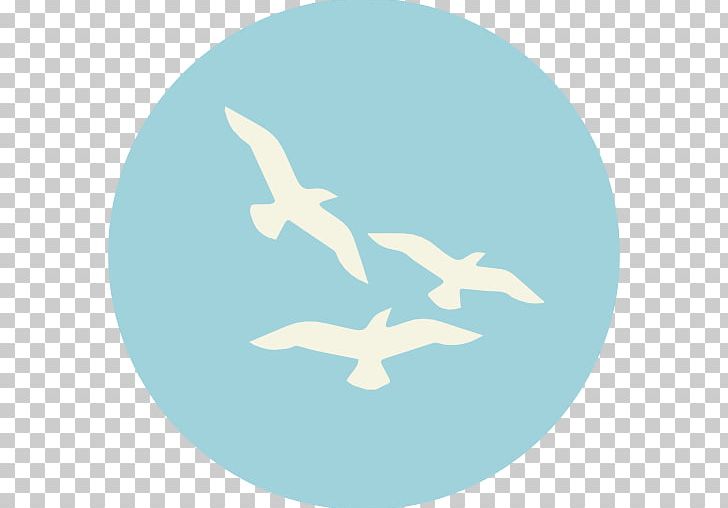 Bird Computer Icons Wildlife Animal PNG, Clipart, Animal, Animals, Aqua, Azure, Beak Free PNG Download