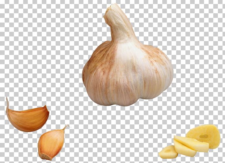 Garlic Onion Vegetable PNG, Clipart, Allicin, Beetroot, Cartoon Garlic, Chili Garlic, Condiment Free PNG Download