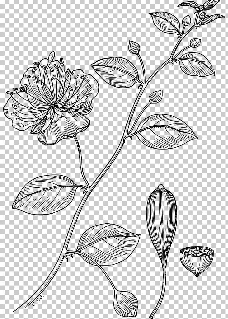 IPhone 8 IPhone X Mobile Phone Accessories Glogster PNG, Clipart, Artwork, Black And White, Branch, Cut Flowers, Flora Free PNG Download