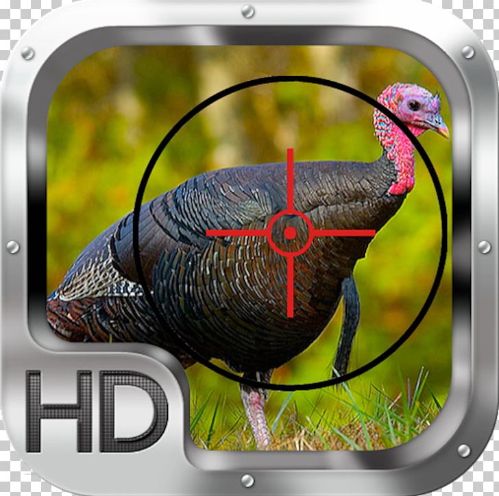 Turkey Bird Bourbon Red Food Plot PNG, Clipart, Animals, Beak, Bird, Domesticated Turkey, Fauna Free PNG Download