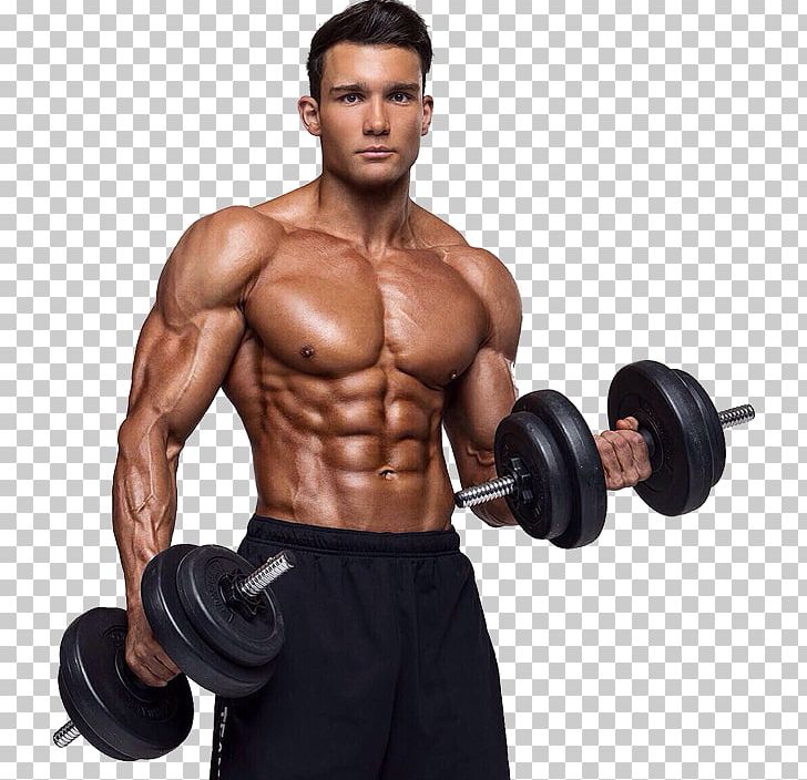 Weight Training Athlete Bodybuilding Physical Strength Coach PNG, Clipart, Abdomen, Arm, Biceps Curl, Bodybuilder, Bodybuildingcom Free PNG Download