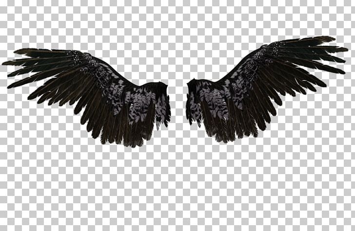 Castiel Drawing Wings Angel PNG, Clipart, Angel, Angel Angel, Angel Wings, Art, Beak Free PNG Download