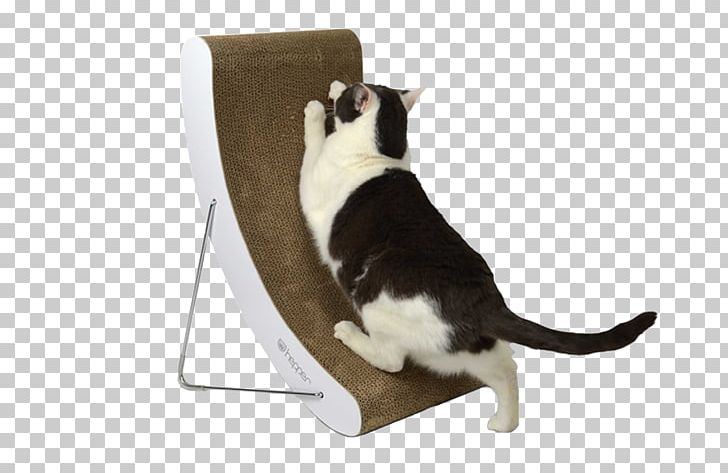 Cymric Scratching Post Manx Cat Cat Tree Mouse PNG, Clipart, Animals, Breed, Carnivoran, Cat, Cat Breed Free PNG Download
