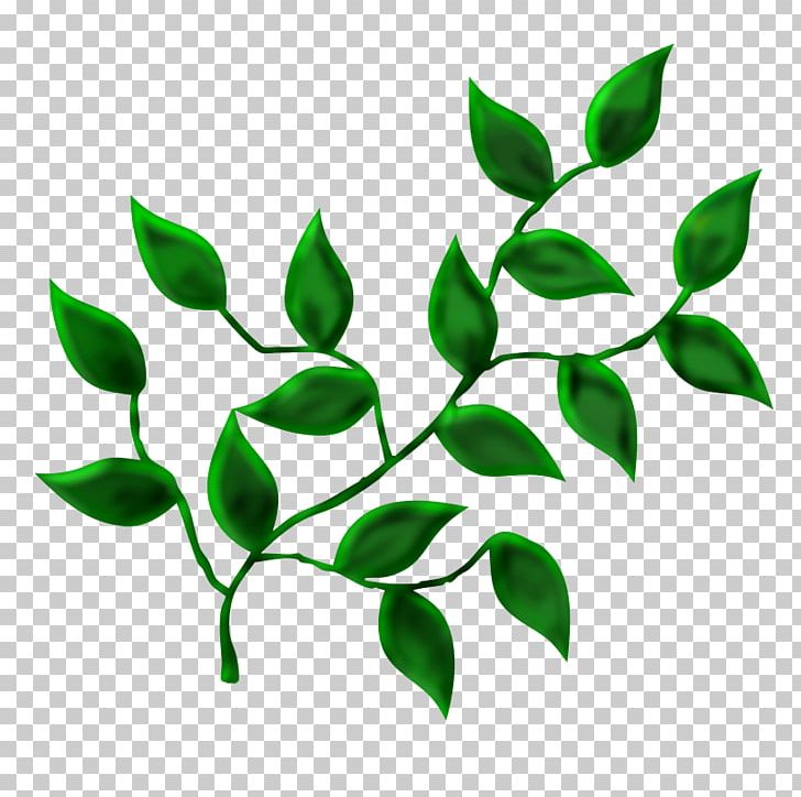 Leaf Tree Desktop PNG, Clipart, Branch, Desktop Wallpaper, Green, Leaf, Maple Leaf Free PNG Download