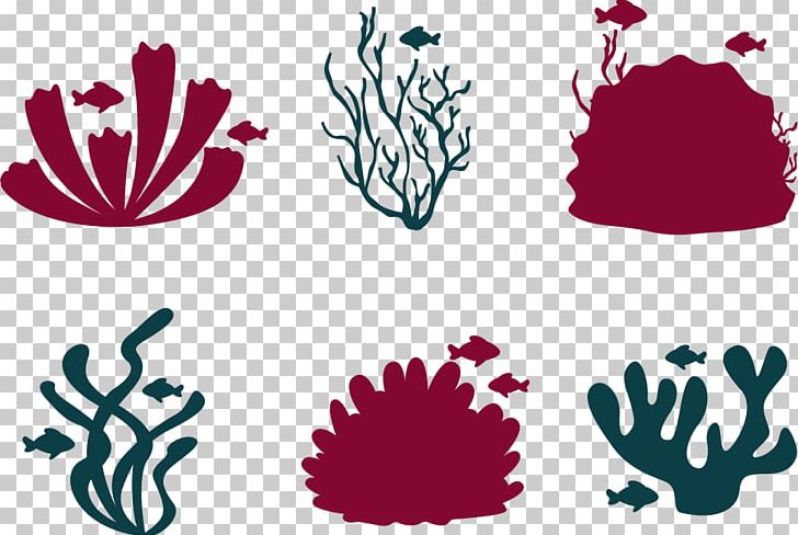 Coral Reef Fish Euclidean PNG, Clipart, Aquatic, Coral, Coral Reef, Coral Reef Fish, Drawing Free PNG Download