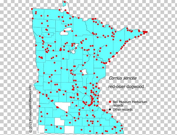 Minnesota Hemlock Reed Canary Grass Map Swamp Milkweed PNG, Clipart, Angle, Area, Cornus, Fleabane, Hemlock Free PNG Download