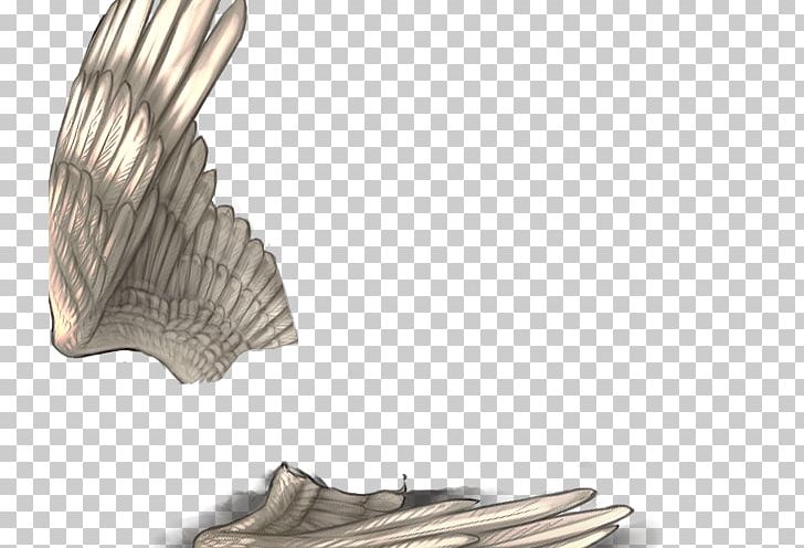 Wood /m/083vt PNG, Clipart, Feather, Lion Wings, M083vt, Nature, Wing Free PNG Download